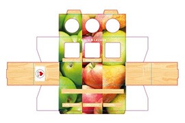 Umverpackungen Umverpackung Fruchthintergrund 3er 53ml